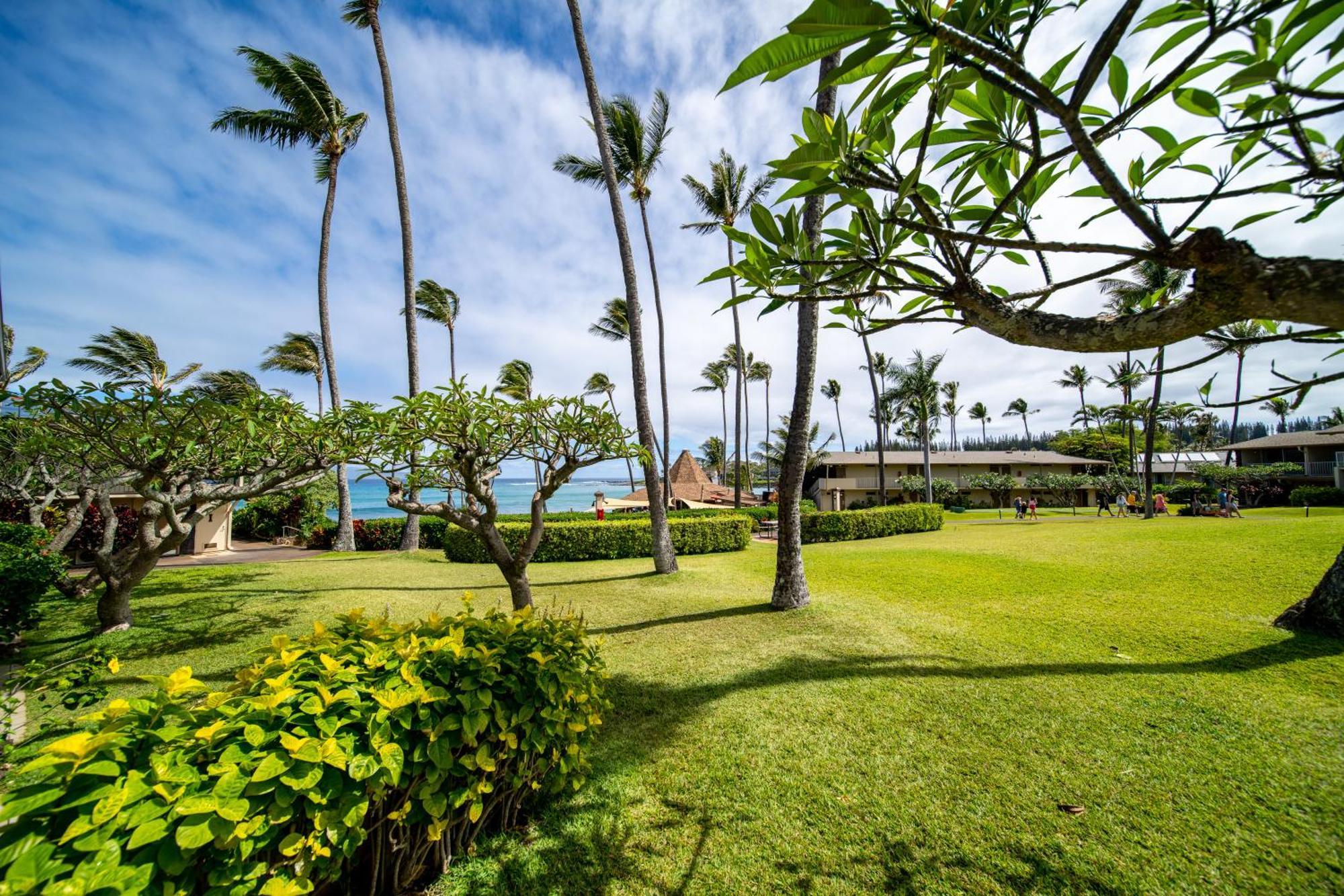 Napili Shores Maui By Outrigger - No Resort & Housekeeping Fees Lahaina Habitación foto